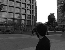 Control de palomas en la plaza independencia, Montevideo, Uruguay. Intercepta Uruguay.